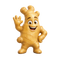 Zencefil