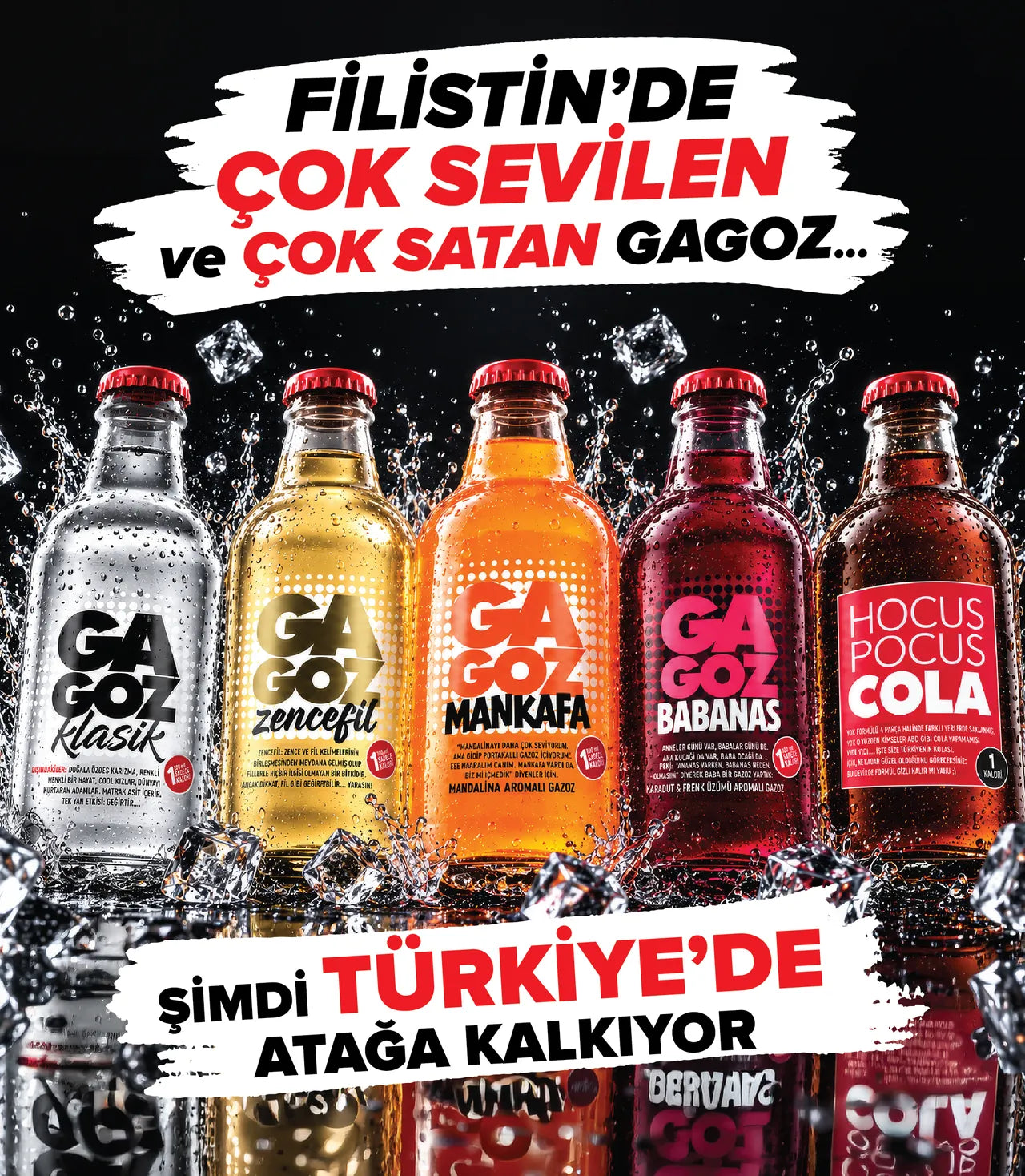 Filistin'de çok sevilen ve çok satan Gagoz şimdi Türkiye'de atağa kalkıyor.